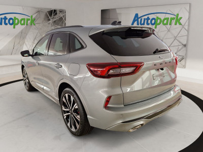 Ford Kuga Vorführwagen Ford Kuga Vorführwagen