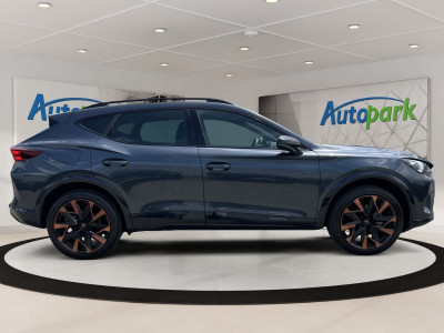 Cupra Formentor Gebrauchtwagen Cupra Formentor Gebrauchtwagen