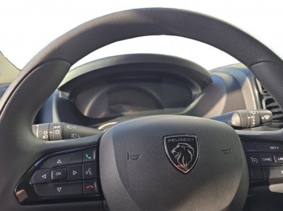 Peugeot Boxer Neuwagen