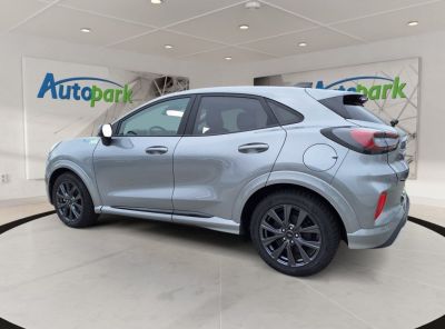 Ford Puma Neuwagen Ford Puma Neuwagen