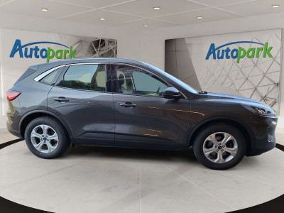Ford Kuga Gebrauchtwagen Ford Kuga Gebrauchtwagen