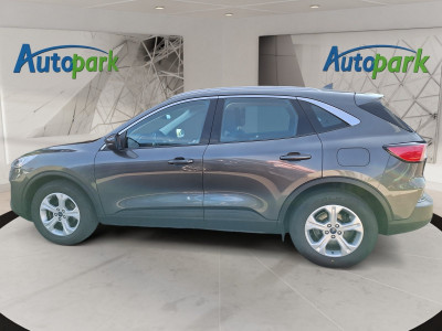 Ford Kuga Gebrauchtwagen Ford Kuga Gebrauchtwagen