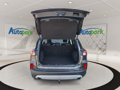 Ford Kuga Gebrauchtwagen Ford Kuga Gebrauchtwagen