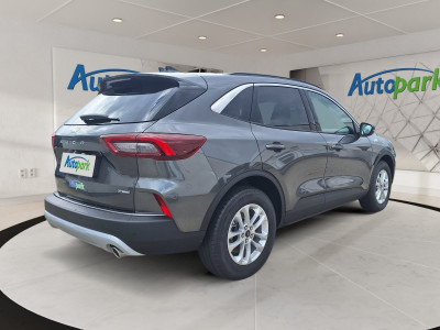 Ford Kuga Vorführwagen Ford Kuga Vorführwagen