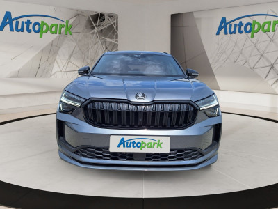 Skoda Kodiaq Gebrauchtwagen Skoda Kodiaq Gebrauchtwagen