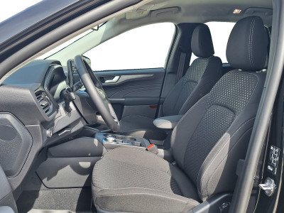 Ford Kuga Vorführwagen Ford Kuga Vorführwagen