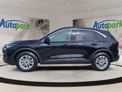 Ford Kuga Vorführwagen Ford Kuga Vorführwagen