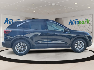 Ford Kuga Vorführwagen Ford Kuga Vorführwagen