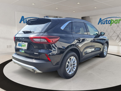 Ford Kuga Vorführwagen Ford Kuga Vorführwagen