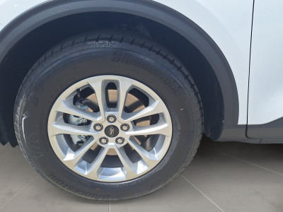 Ford Kuga Vorführwagen Ford Kuga Vorführwagen