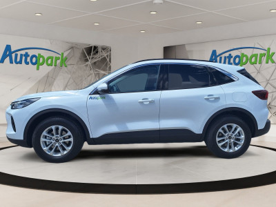 Ford Kuga Vorführwagen Ford Kuga Vorführwagen