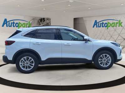 Ford Kuga Vorführwagen Ford Kuga Vorführwagen