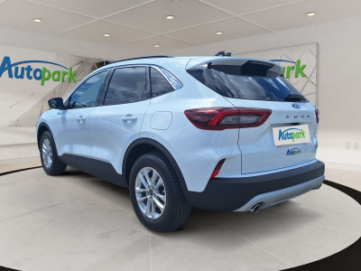 Ford Kuga Vorführwagen Ford Kuga Vorführwagen