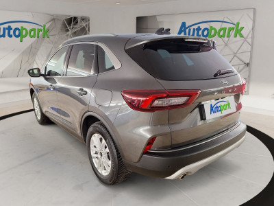 Ford Kuga Gebrauchtwagen
