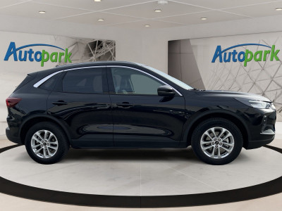 Ford Kuga Gebrauchtwagen Ford Kuga Gebrauchtwagen