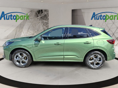 Ford Kuga Vorführwagen Ford Kuga Vorführwagen