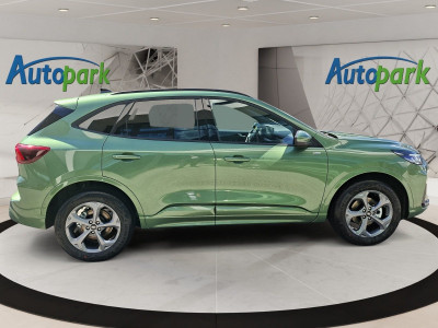 Ford Kuga Vorführwagen Ford Kuga Vorführwagen