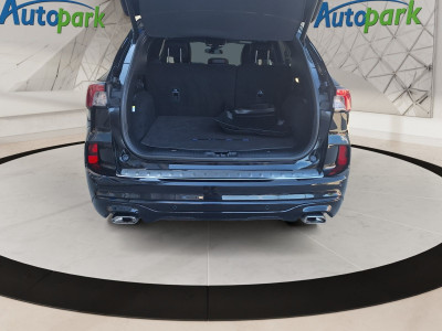Ford Kuga Gebrauchtwagen Ford Kuga Gebrauchtwagen
