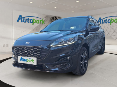 Ford Kuga Gebrauchtwagen Ford Kuga Gebrauchtwagen