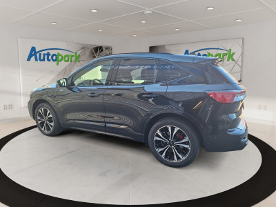 Ford Kuga Gebrauchtwagen Ford Kuga Gebrauchtwagen