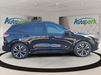 Ford Kuga Gebrauchtwagen Ford Kuga Gebrauchtwagen