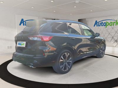 Ford Kuga Gebrauchtwagen Ford Kuga Gebrauchtwagen