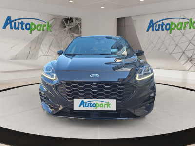 Ford Kuga Gebrauchtwagen Ford Kuga Gebrauchtwagen