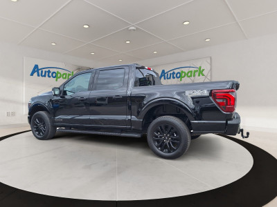 Ford F-150/F-250 Neuwagen