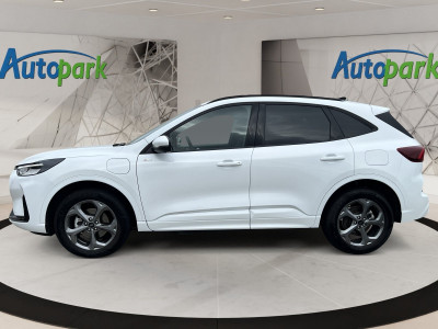 Ford Kuga Gebrauchtwagen Ford Kuga Gebrauchtwagen
