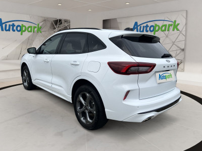 Ford Kuga Gebrauchtwagen Ford Kuga Gebrauchtwagen