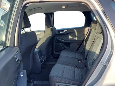 Ford Kuga Vorführwagen