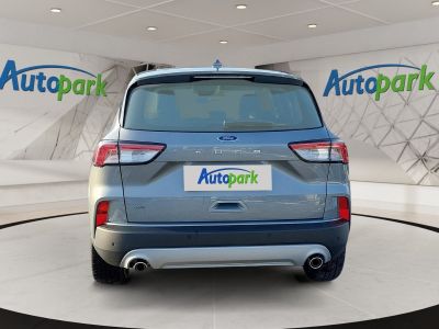 Ford Kuga Vorführwagen