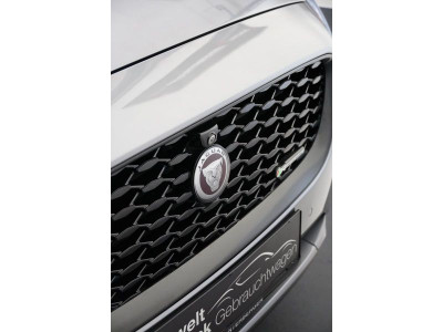 Jaguar E-Pace Gebrauchtwagen