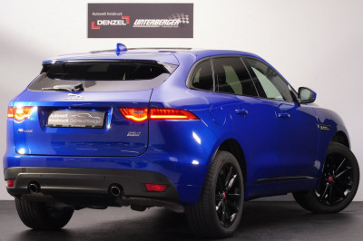 Jaguar F-Pace Gebrauchtwagen Jaguar F-Pace Gebrauchtwagen