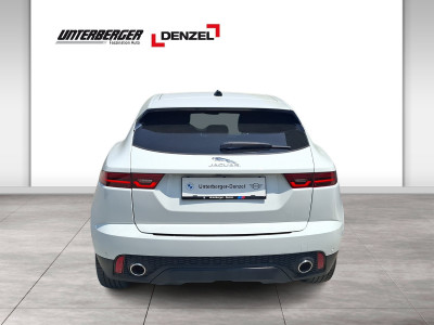 Jaguar E-Pace Gebrauchtwagen