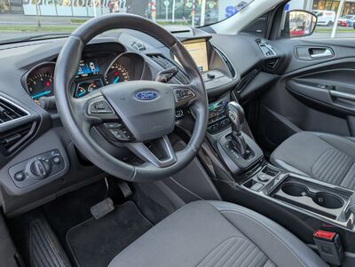 Ford Kuga Gebrauchtwagen