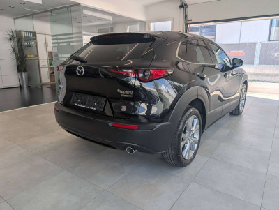 Mazda CX-30 Tageszulassung Mazda CX-30 Tageszulassung