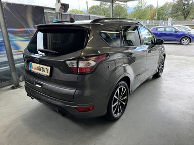 Ford Kuga Gebrauchtwagen