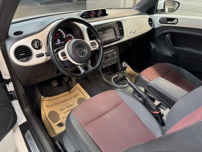 VW Beetle Gebrauchtwagen