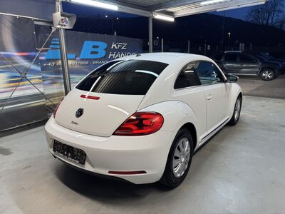 VW Beetle Gebrauchtwagen