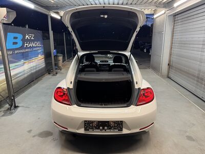 VW Beetle Gebrauchtwagen