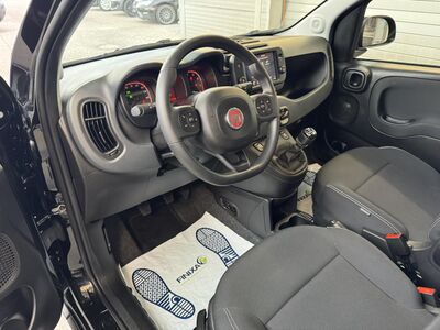 Fiat Panda Gebrauchtwagen