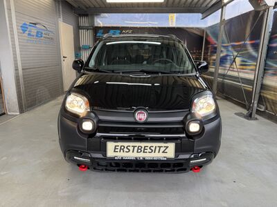 Fiat Panda Gebrauchtwagen