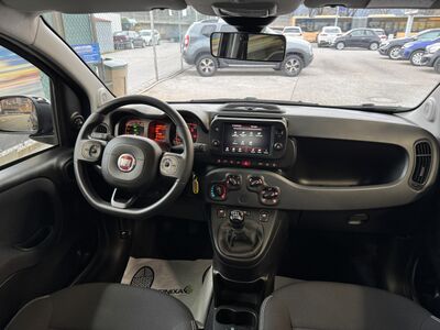 Fiat Panda Gebrauchtwagen