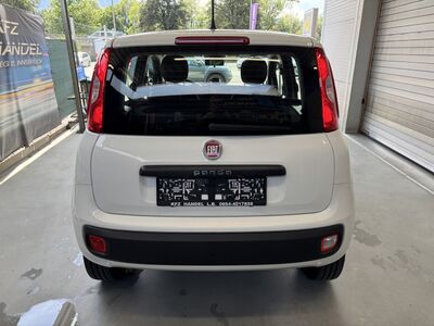 Fiat Panda Gebrauchtwagen