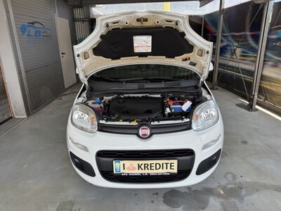 Fiat Panda Gebrauchtwagen