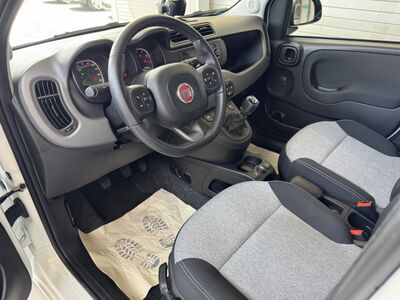 Fiat Panda Gebrauchtwagen