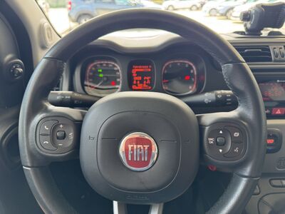 Fiat Panda Gebrauchtwagen