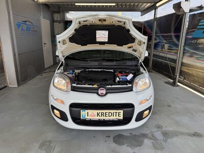 Fiat Panda Gebrauchtwagen