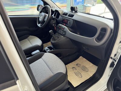 Fiat Panda Gebrauchtwagen